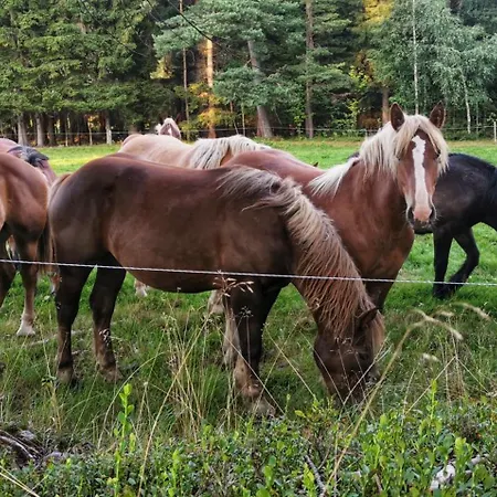 Chalet Freedom House