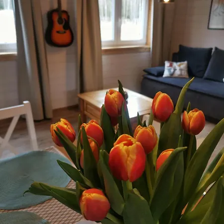 Freedom House Alpesi faház Dolina (Klodzko)