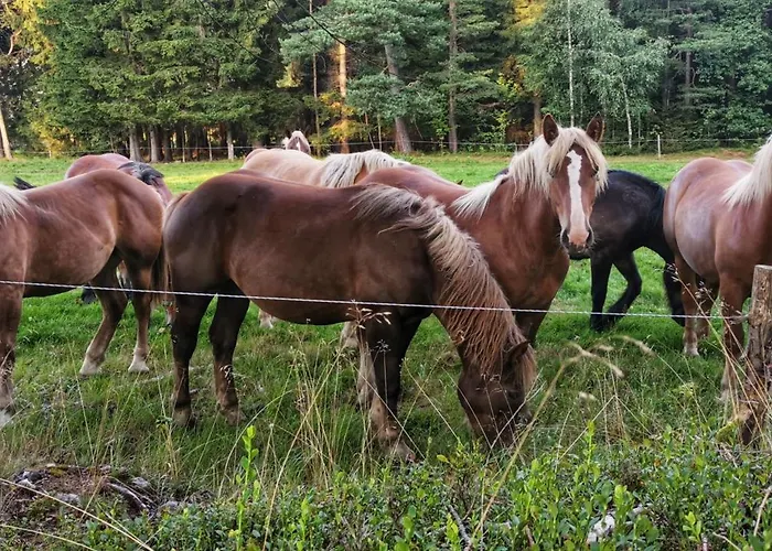 Chalet Freedom House