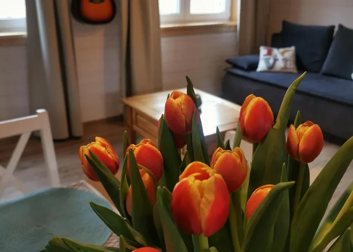 Freedom House Horská chata Dolina (Klodzko)