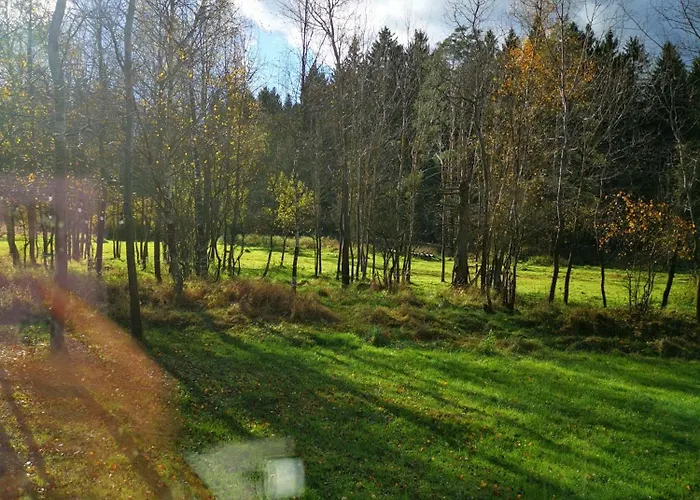 Chalet Freedom House *